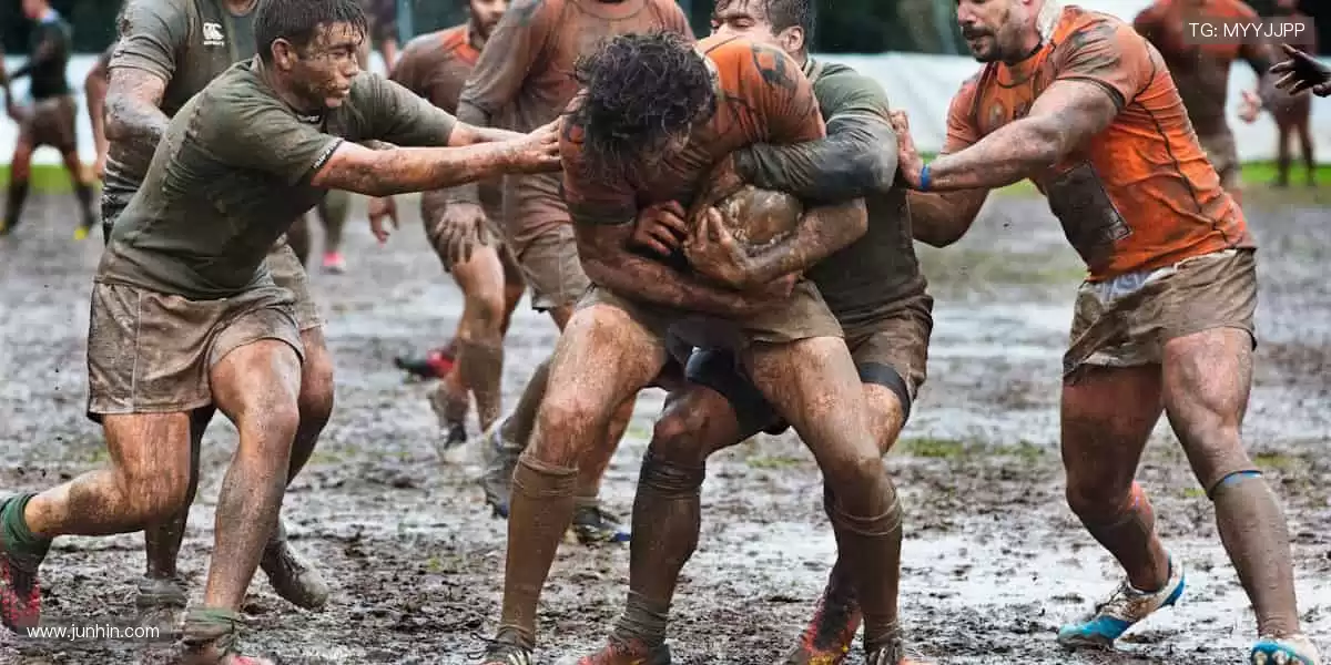 📱 指尖轻点,全球赛事实时掌控!🎥